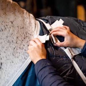 Horseware Eco Liner